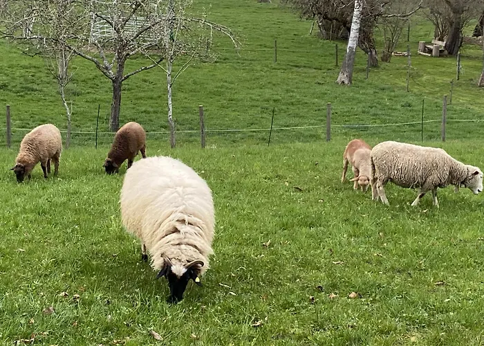 Uptrulli-minihaus Vogt